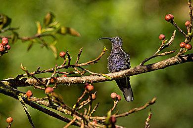 SteamDB数据更新确定 PS独占游戏《死亡回归》将登陆Steam